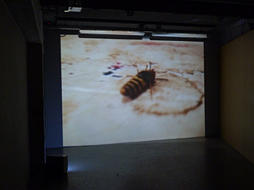 Eindexamen 2010 Gerrit Rietveld Academie 