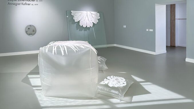 Land to Land – Sibylle Eimermacher & Annegret Kellner in Museum EICAS