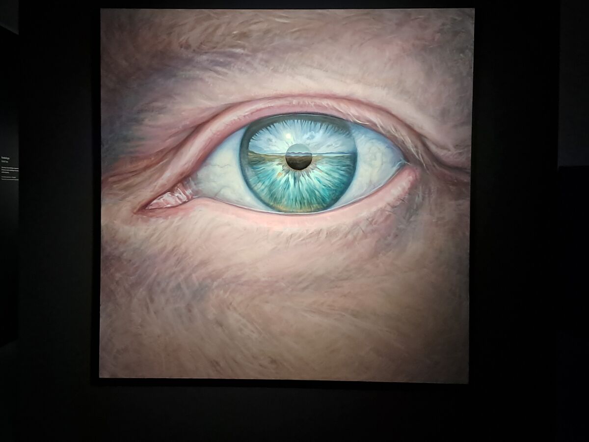 Tilda Swinton @ Eye Filmmuseum