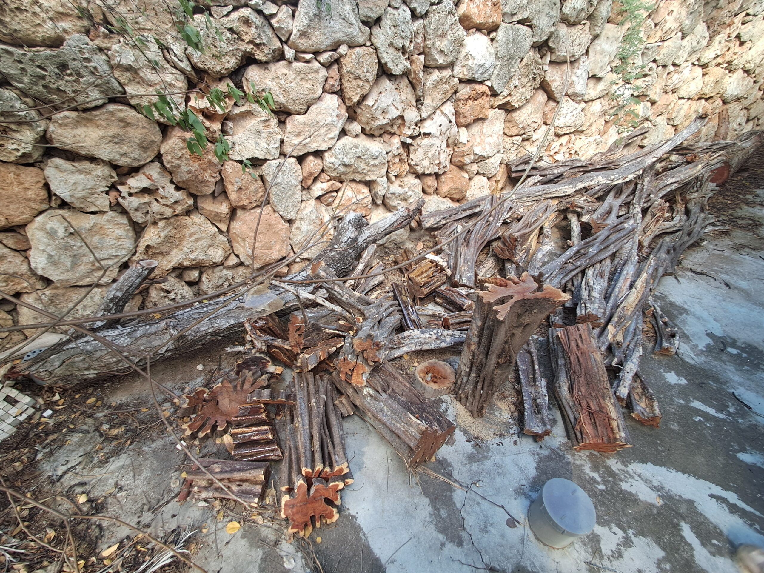 Atelier Gino Martina