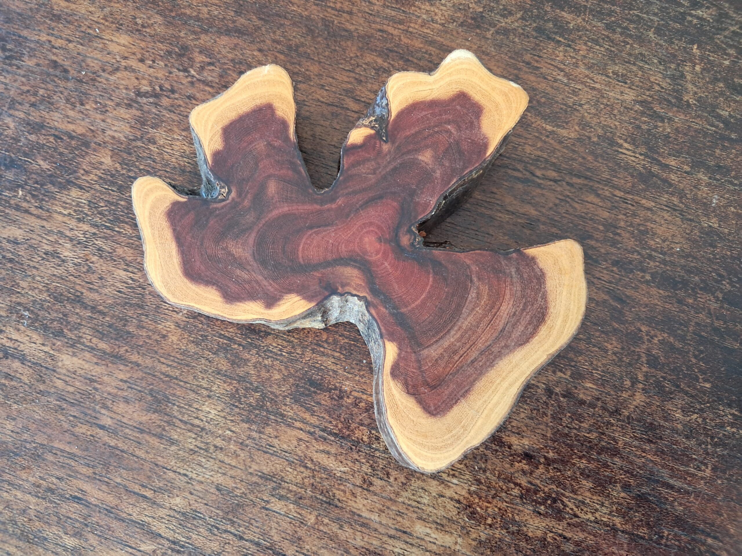 Atelier Gino Martina