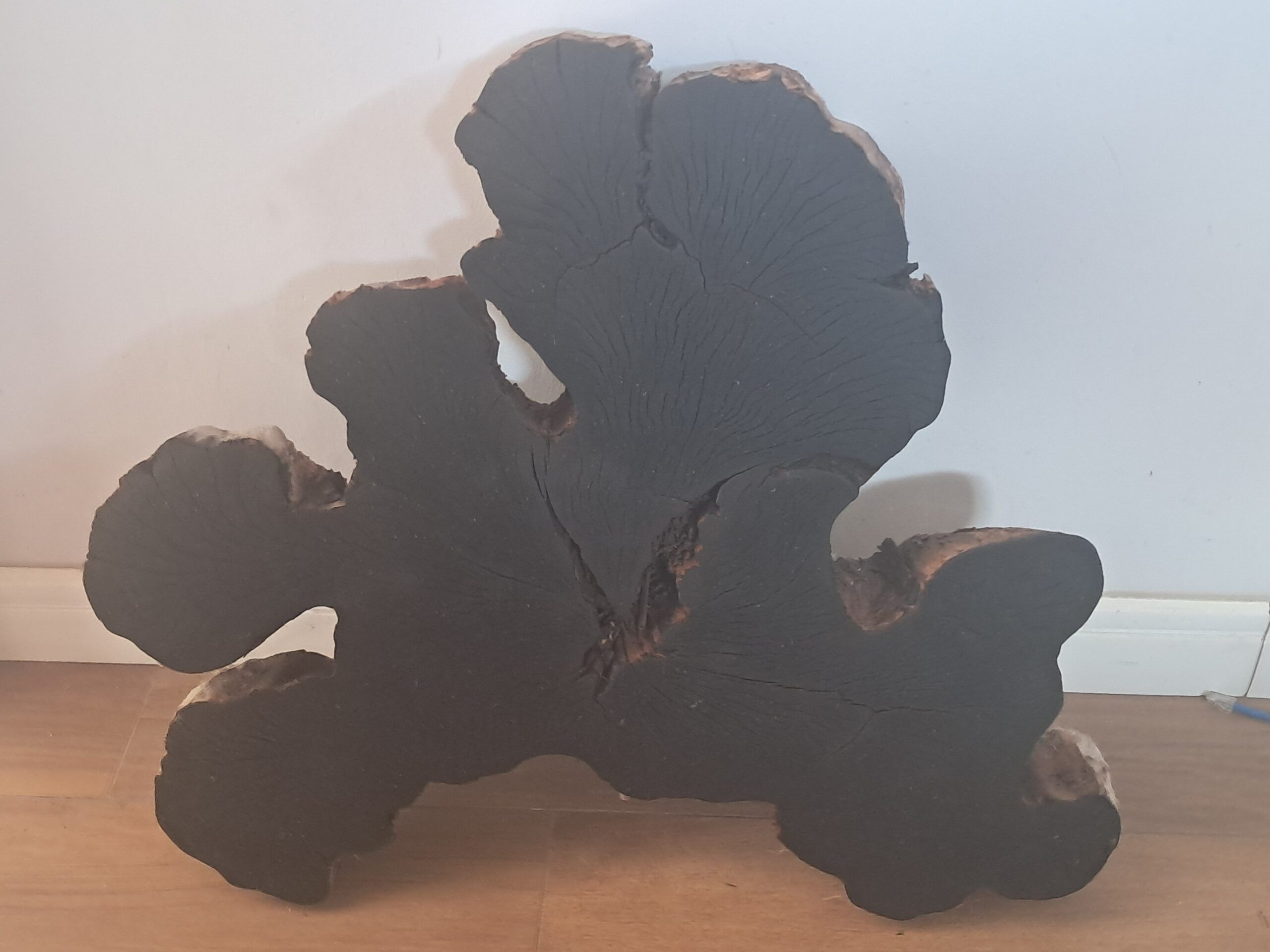 Atelier Gino Martina