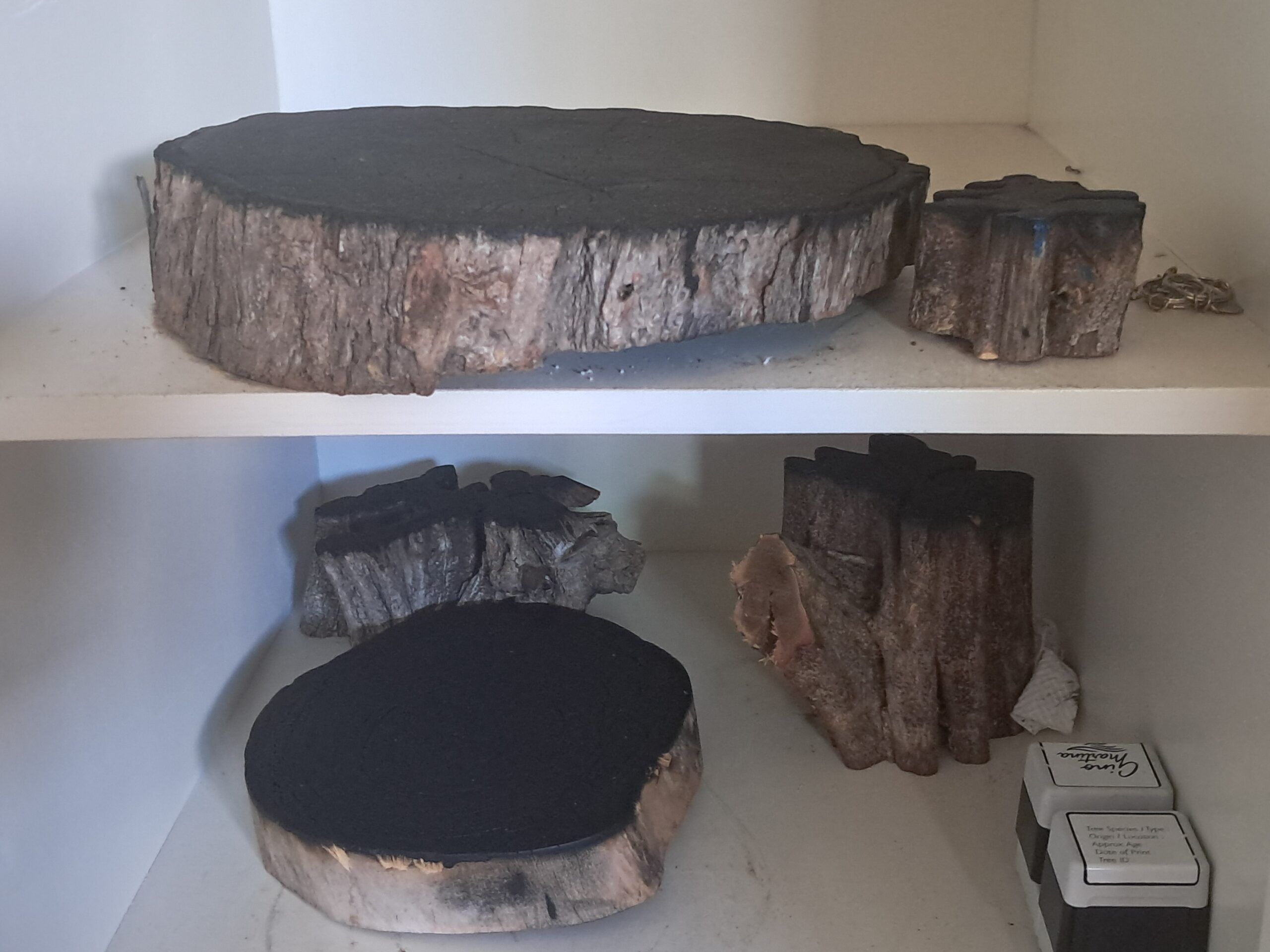 Atelier Gino Martina