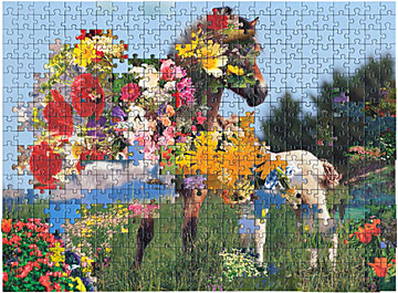 rogowski_puzzle10_500_artworkimage_1