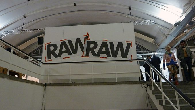 RAW Art Fair 2014