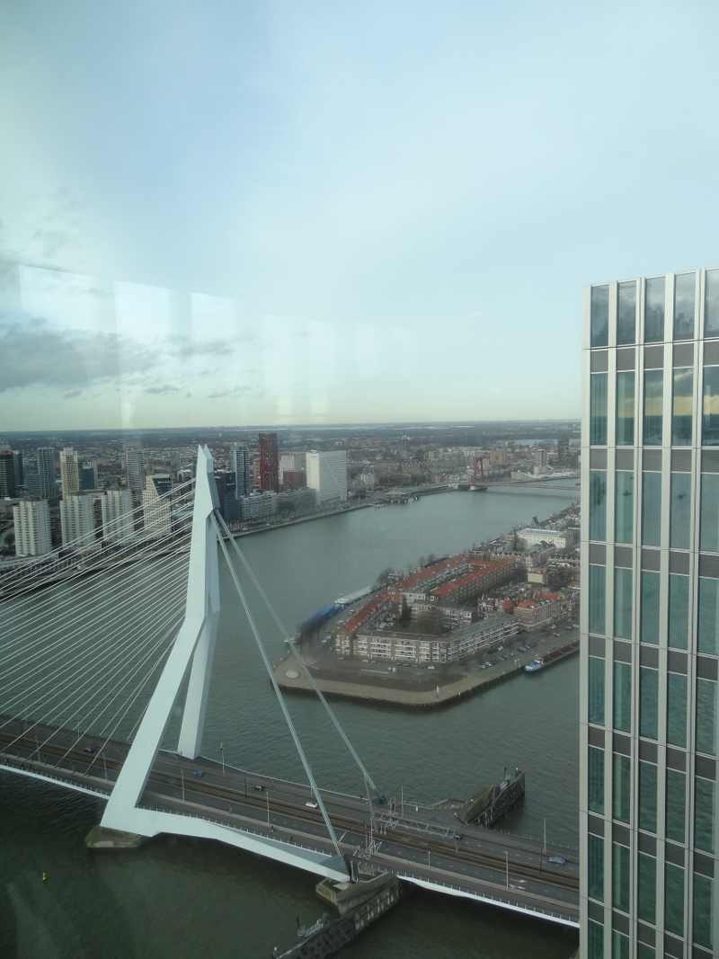 z Rotterdam, uitzicht