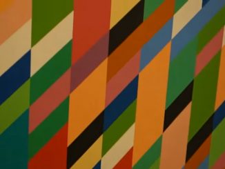 James Kalm bezoekt Bridget Riley at David Zwirner