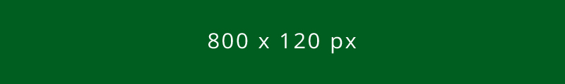 800×120