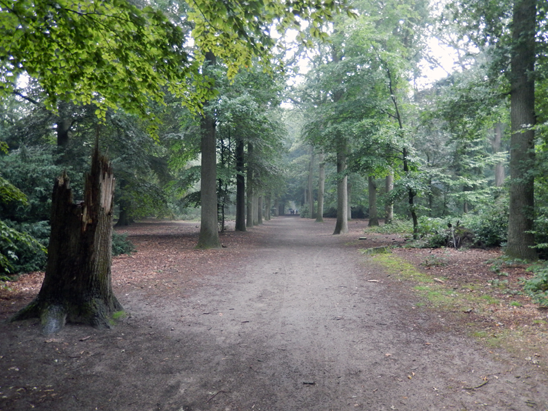 Disruption – Remapping Nature @ Warandepark, Tilburg